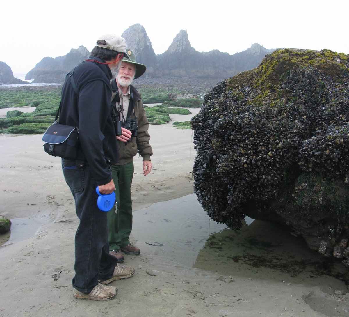 A roving interpretive ranger shares interesting details about mussel beds with a beach visitor